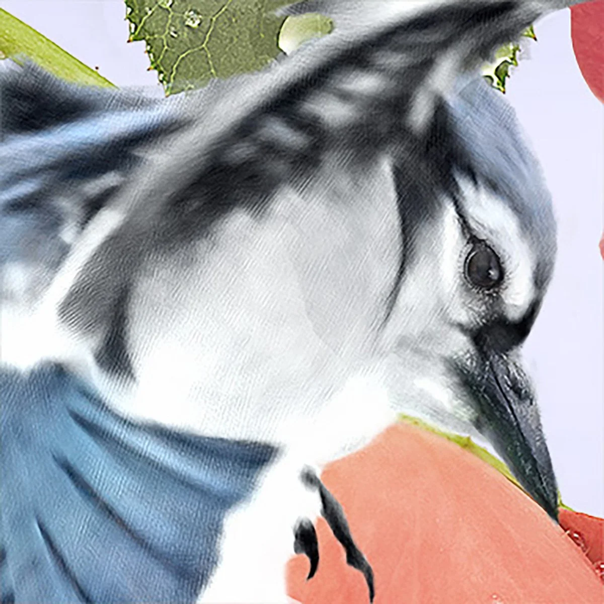 DÉTAIL