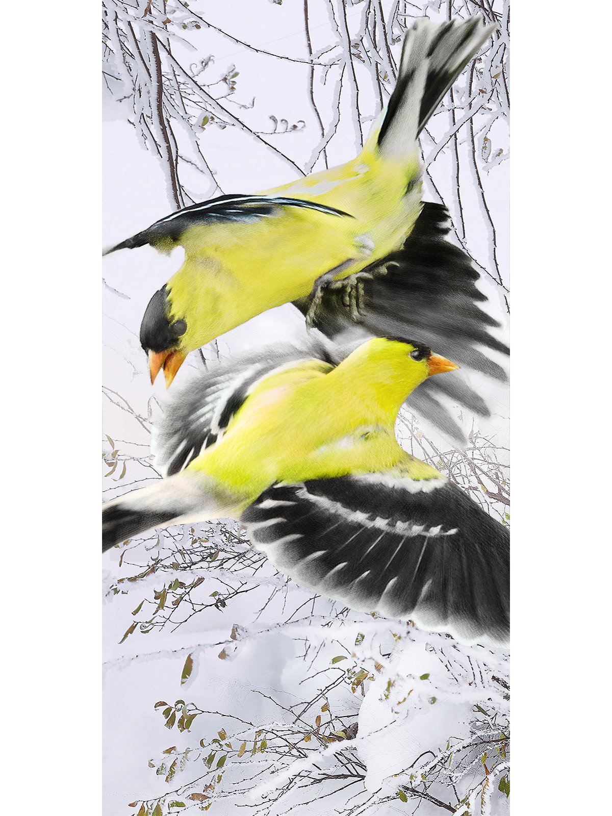 marc cramer-1200x1600-CHARDONNETS-BLANC-Vertical-1600x800px.jpg