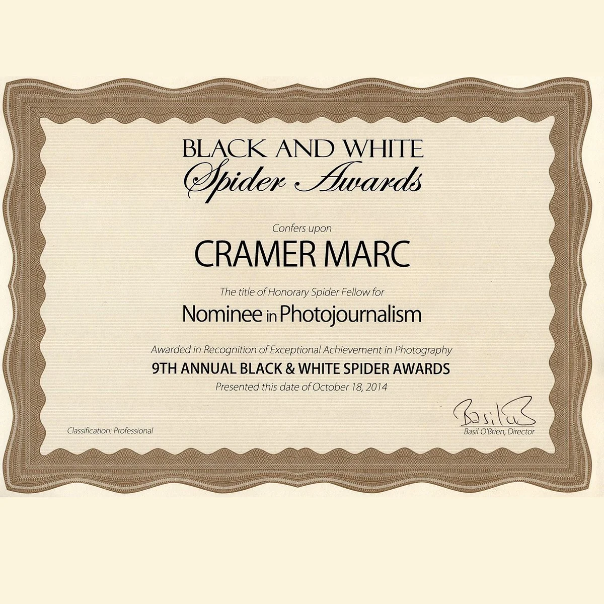 2014-Spider Awards.jpg