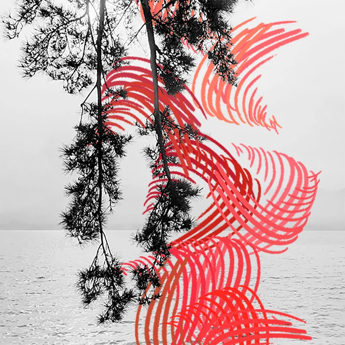 Miyajima_1200x1200.jpg