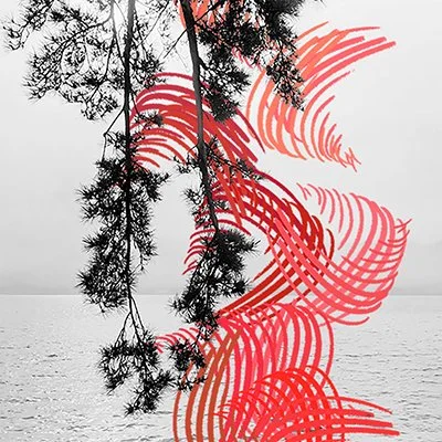 marc cramer-Miyajima-400x400.jpg
