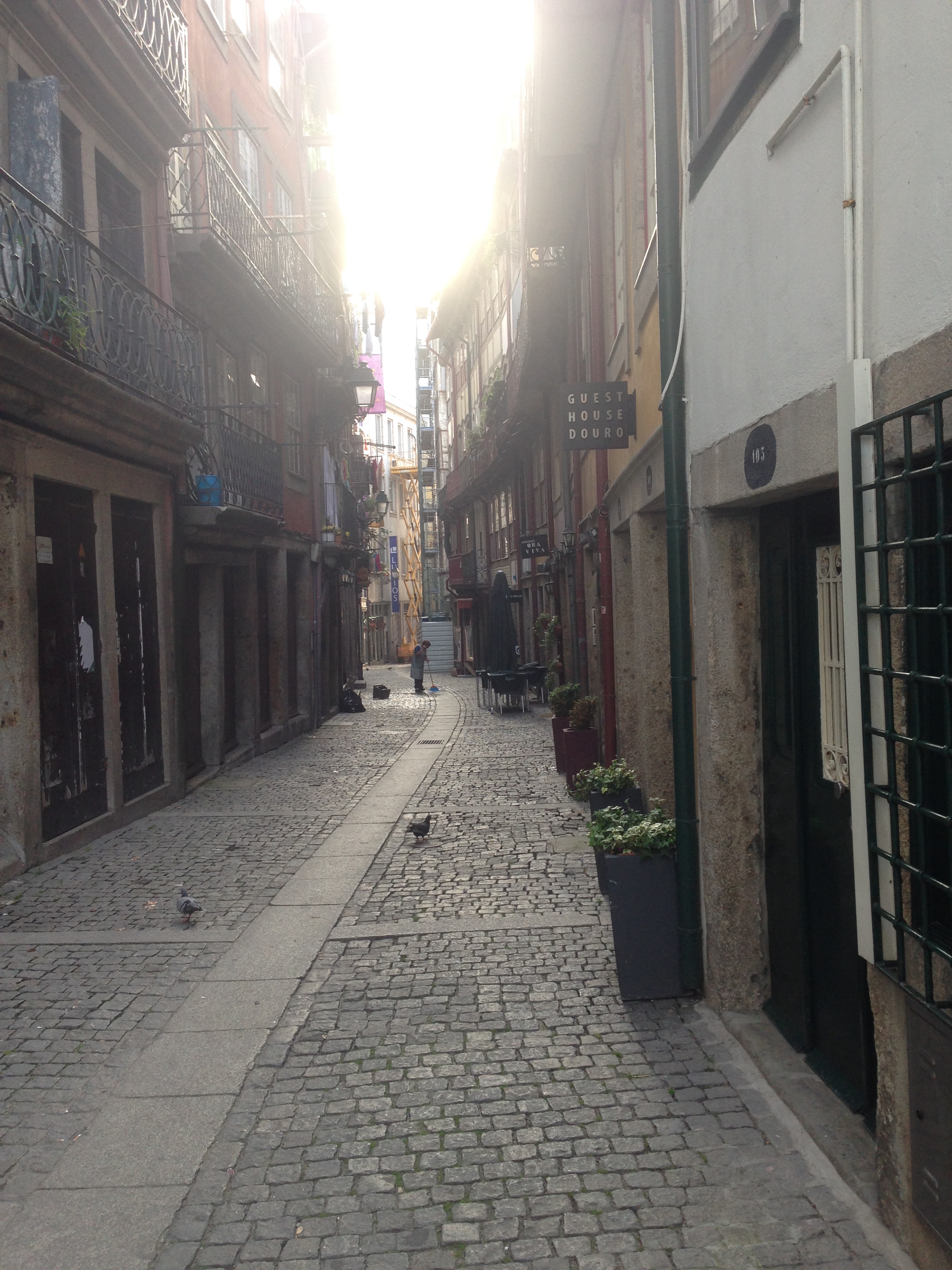 Guest House Douro