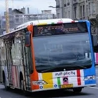 The Daily Provocations of Life