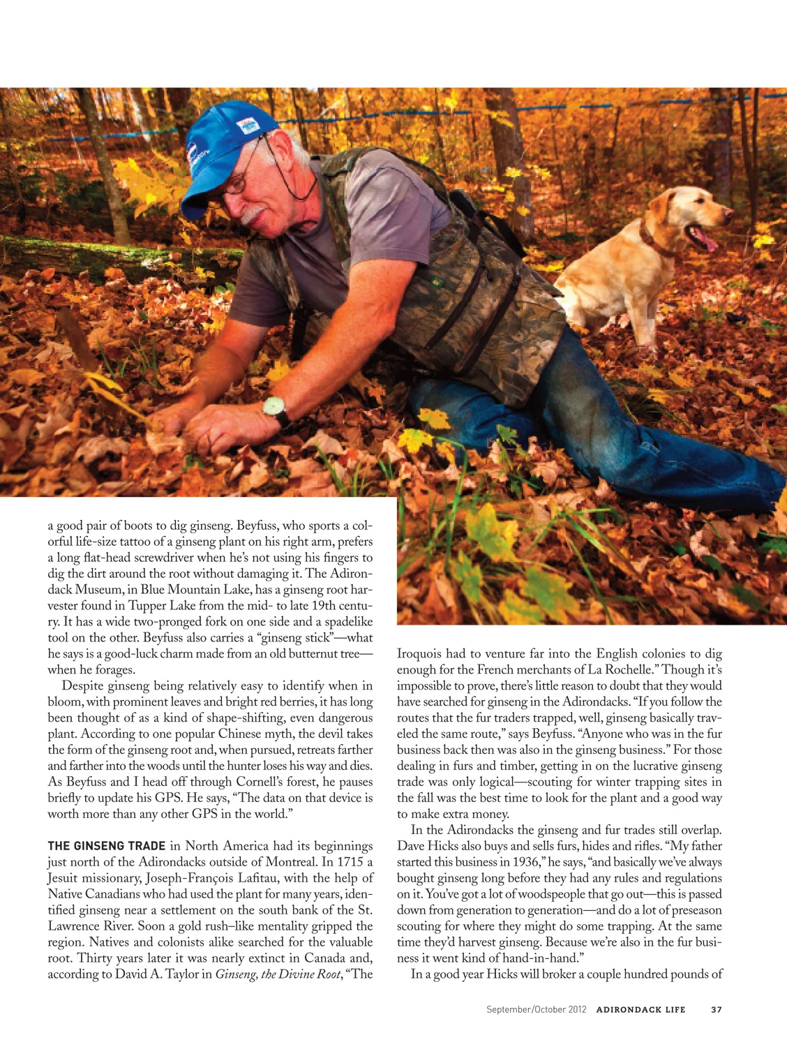 Digging-the-Root-Adk-Life-Adam-Federman-4.jpg