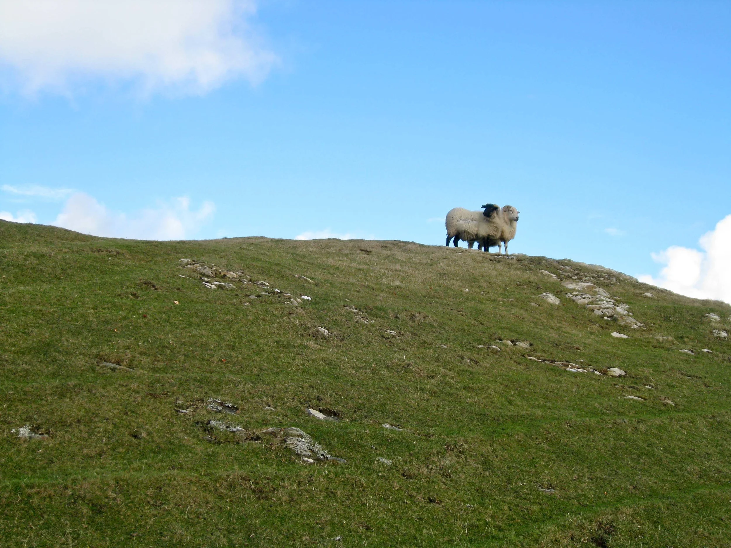 Ireland-3033.jpg