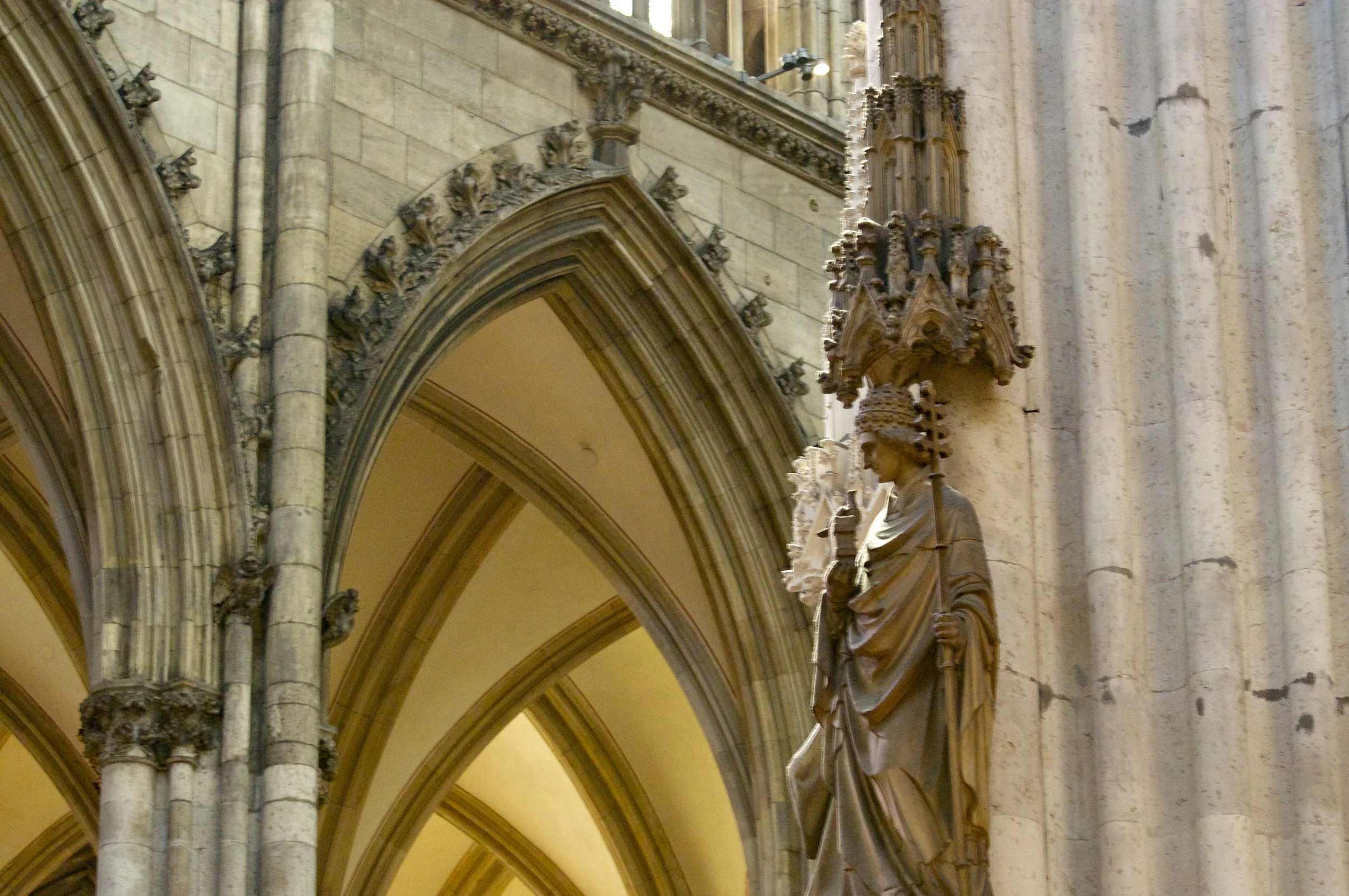 dsc_4237.jpg