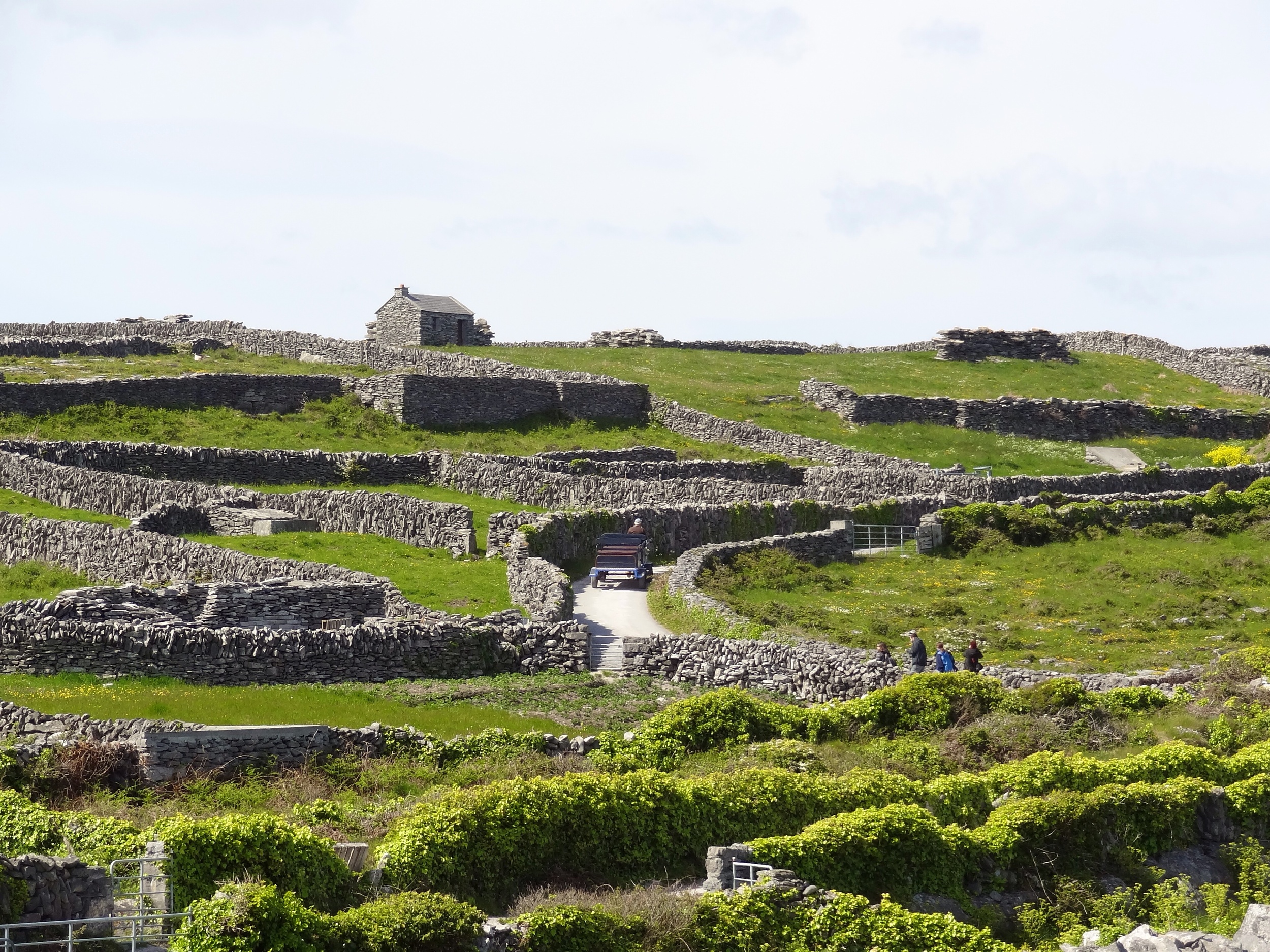 Ireland-2.jpg