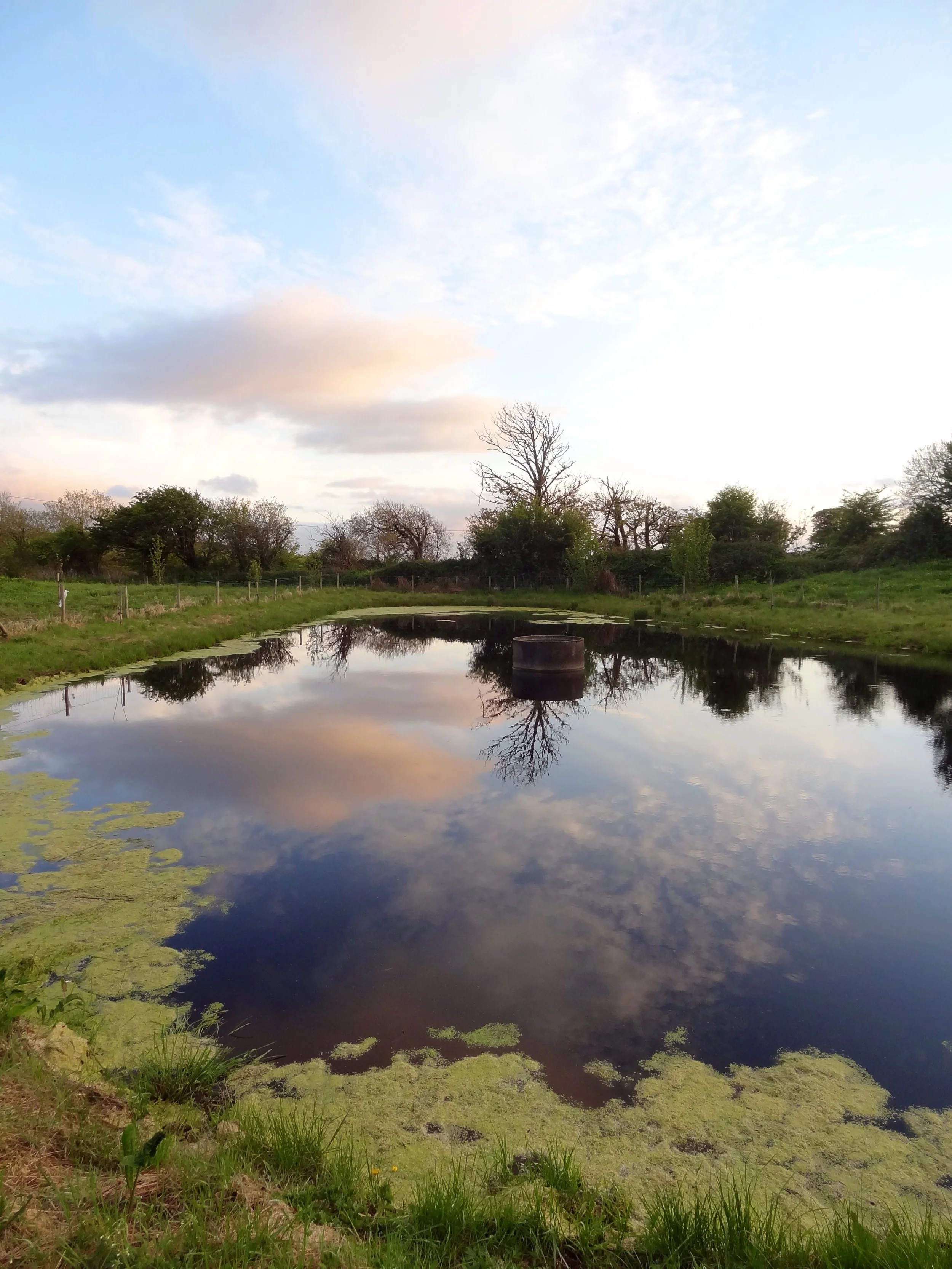 Ireland-6.jpg