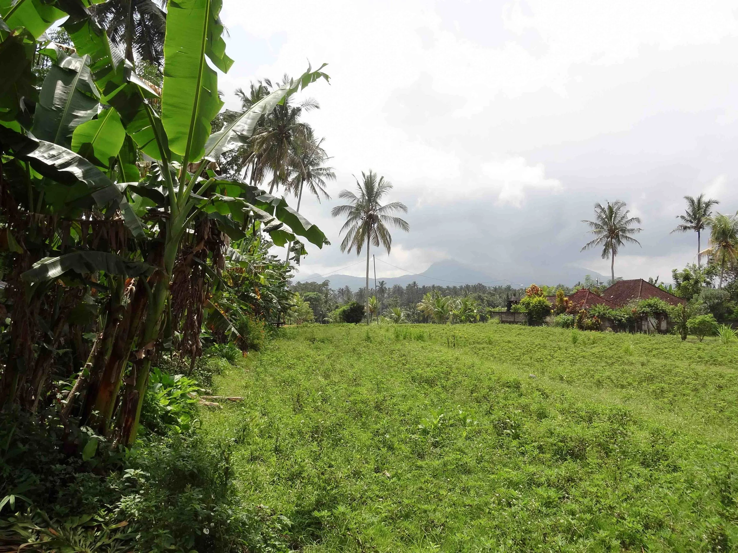 Bali-3.jpg
