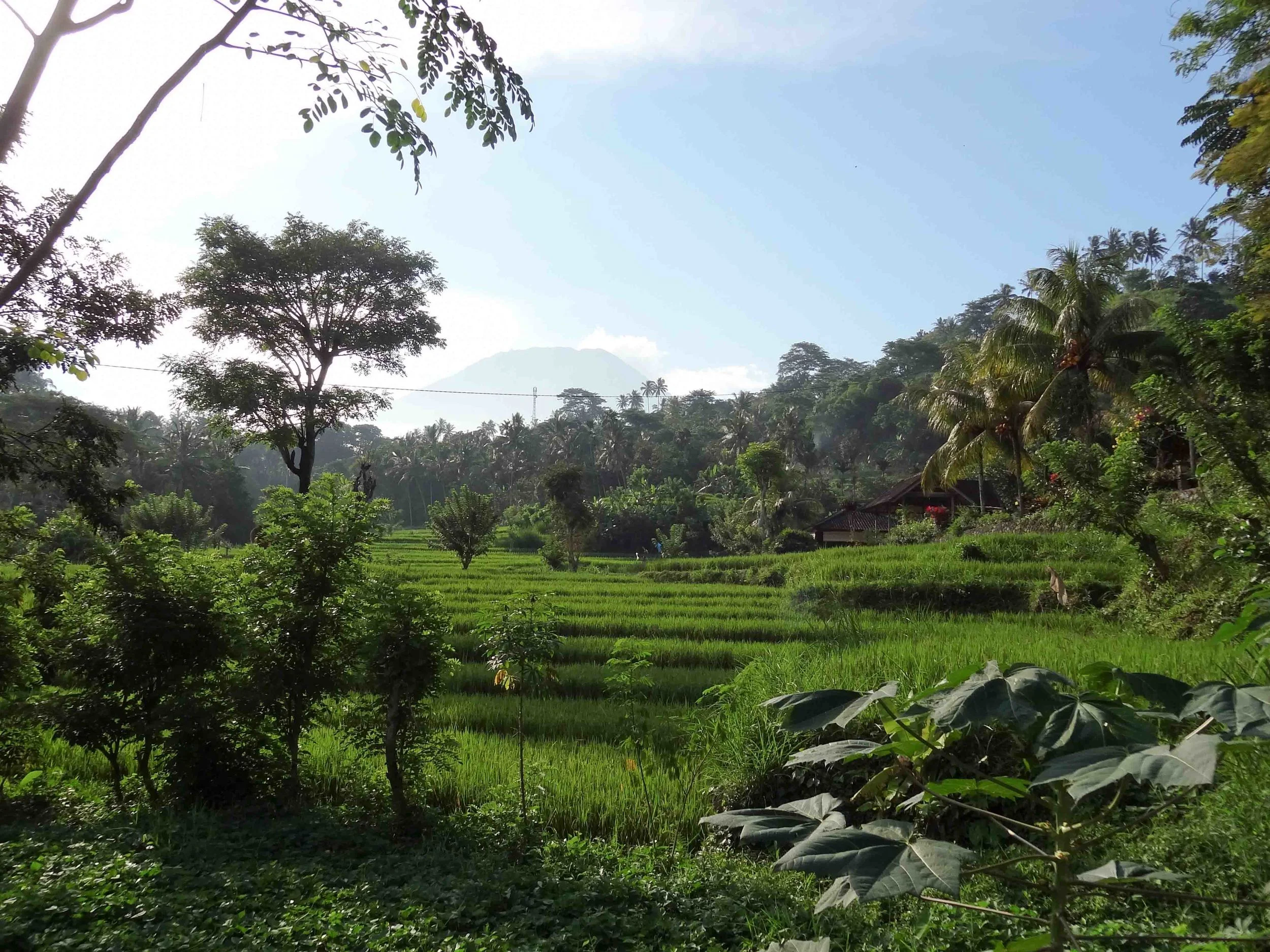 Bali-8.jpg