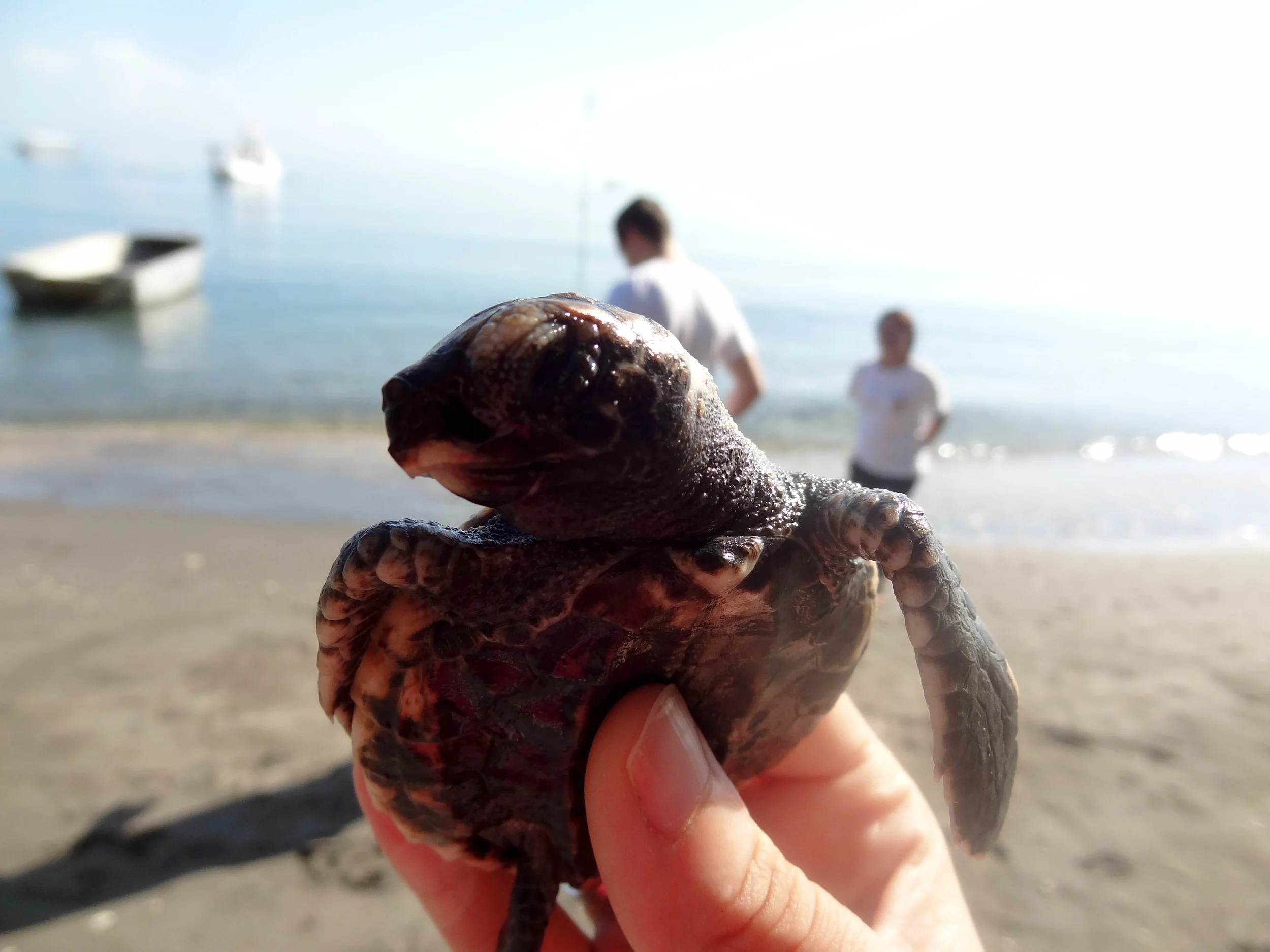 Bali-12.jpg