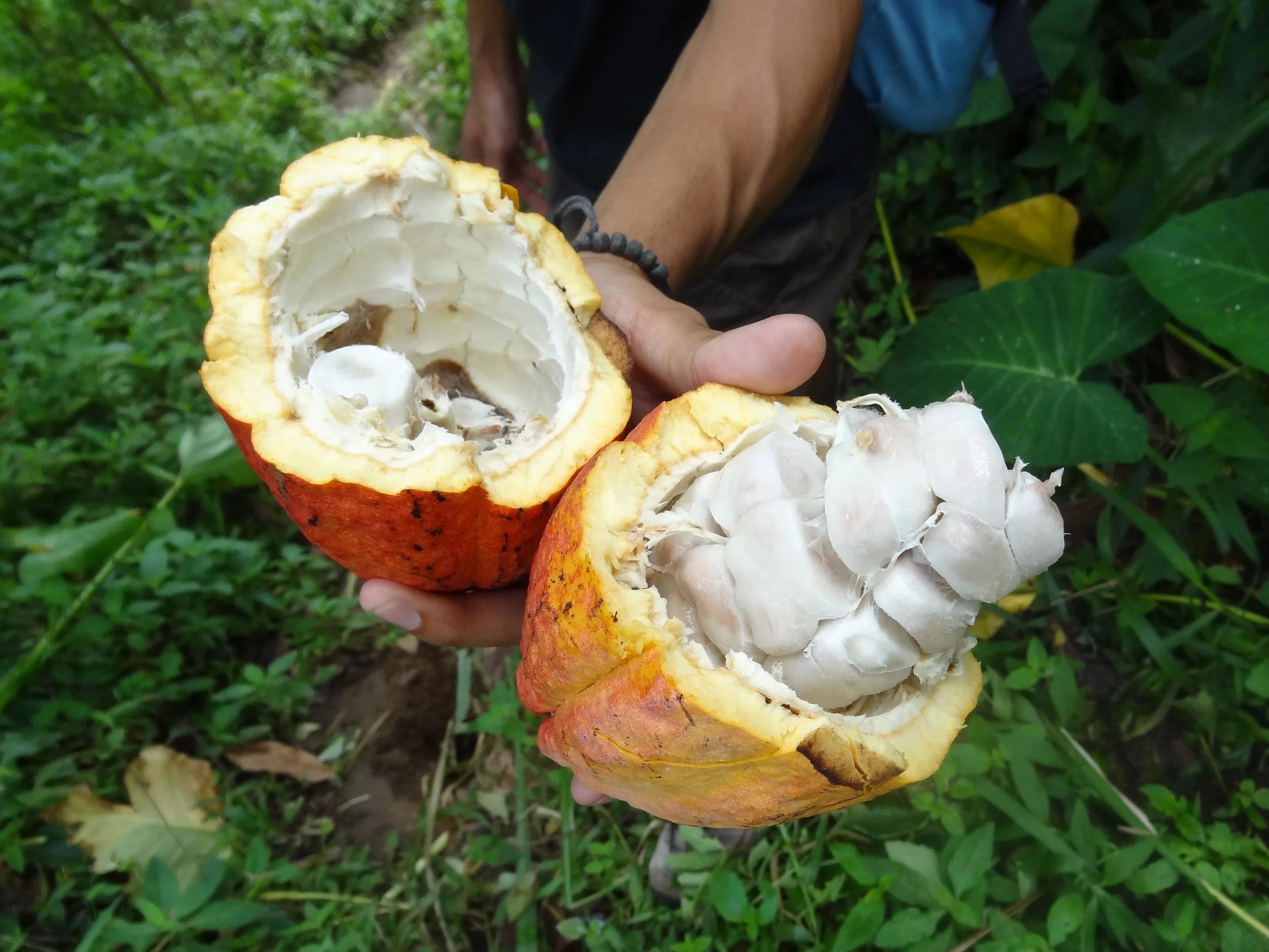 Bali-14.jpg