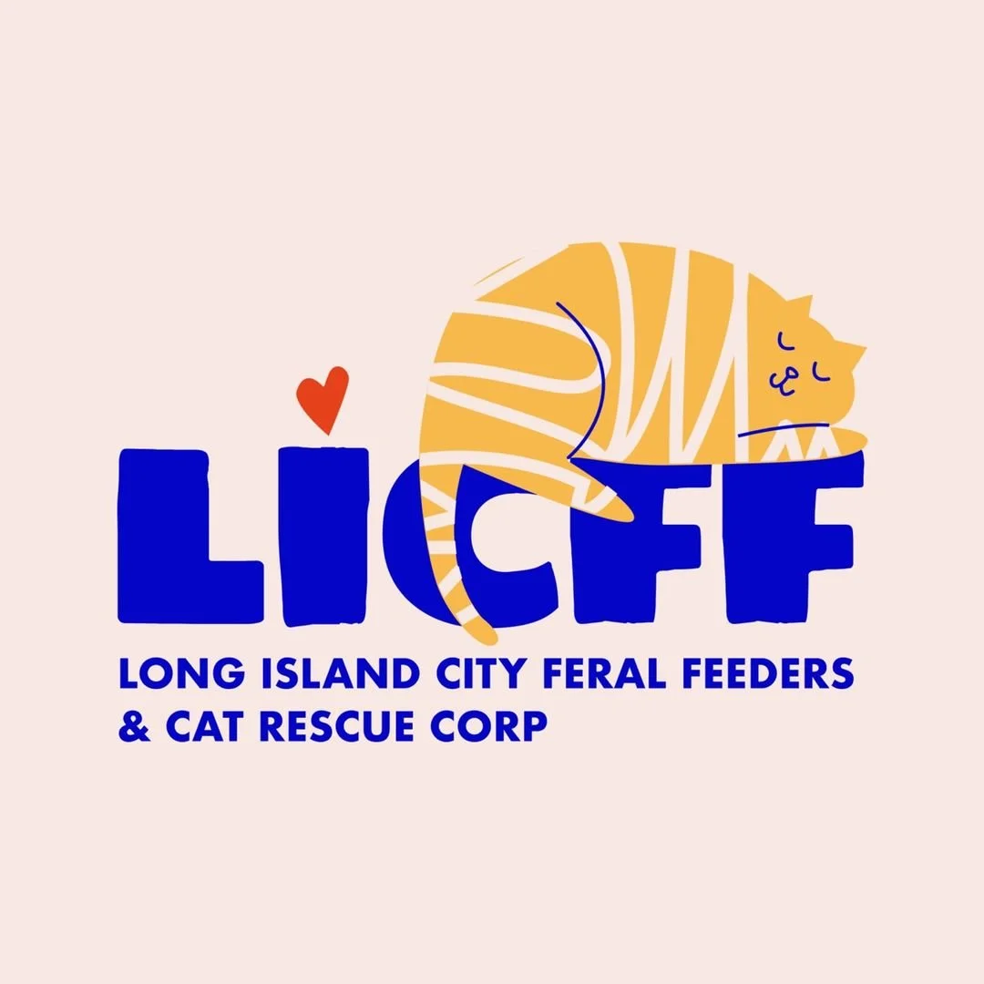 Long Island City Feral Feeders