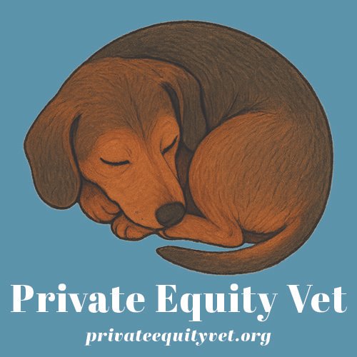 Private Equity Vet