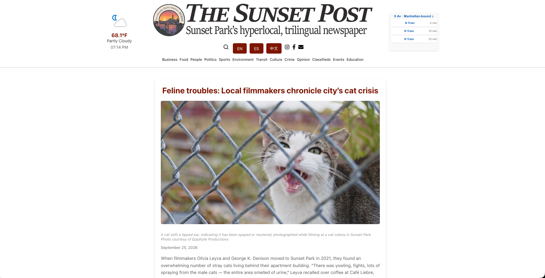 Feline troubles: Local filmmakers chronicle city’s cat crisis