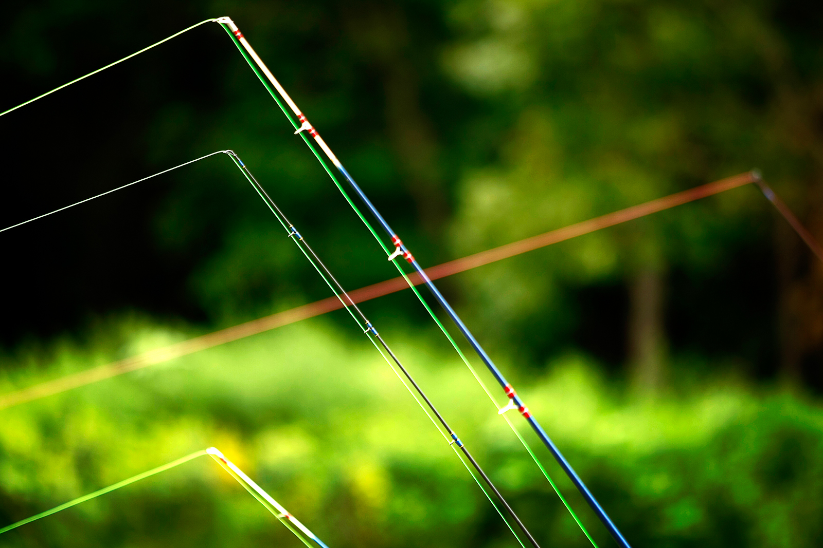 080308_Fish2_DKF.jpg