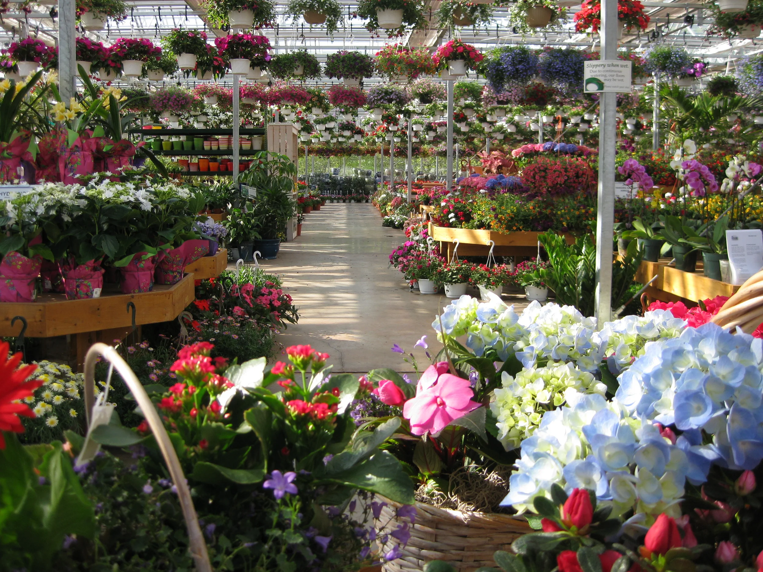 Gift Baskets and Annuals