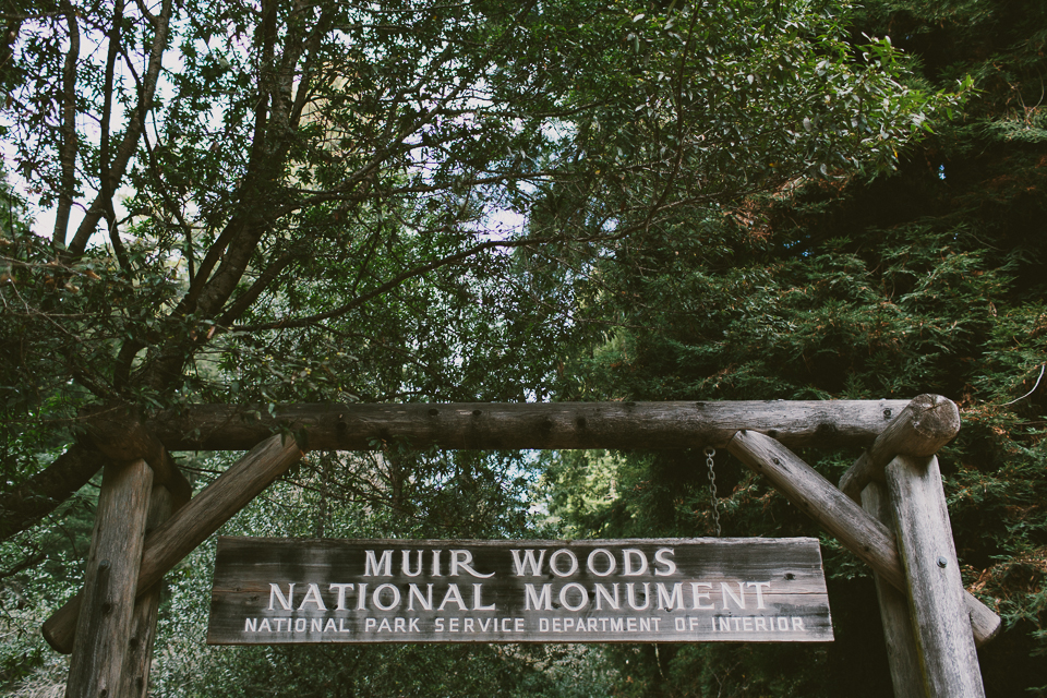 Muir Woods, Mill Valley, CA | Someplace Wild | www.someplacewild.com