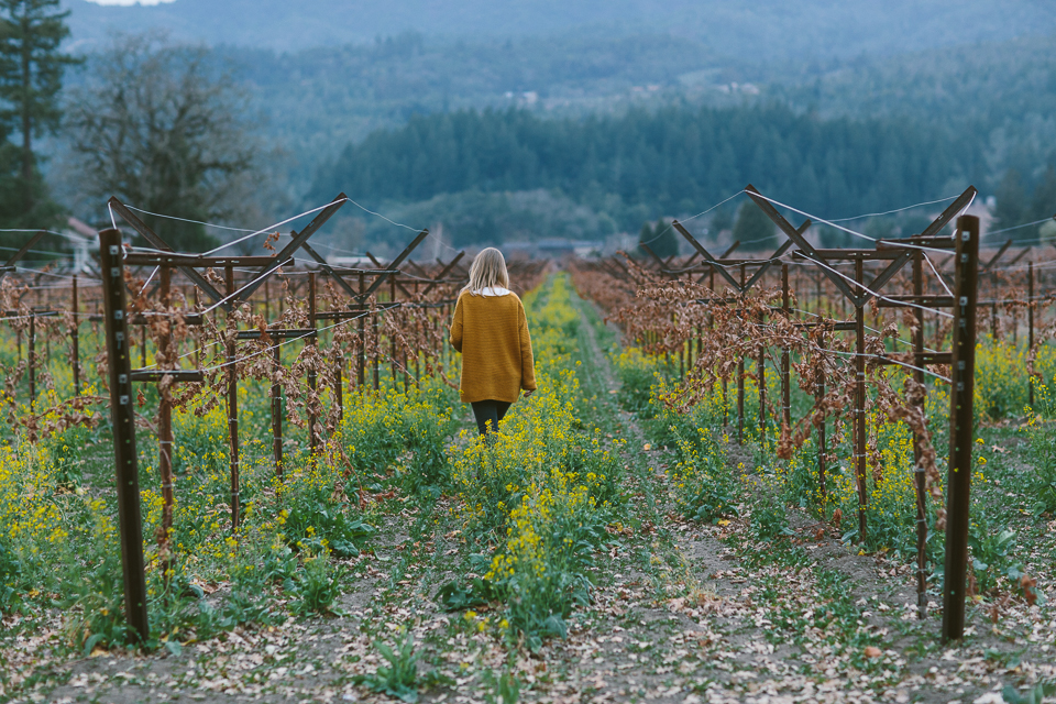 Vineyard Hopping, St Helena, CA | Someplace Wild | www.someplacewild.com