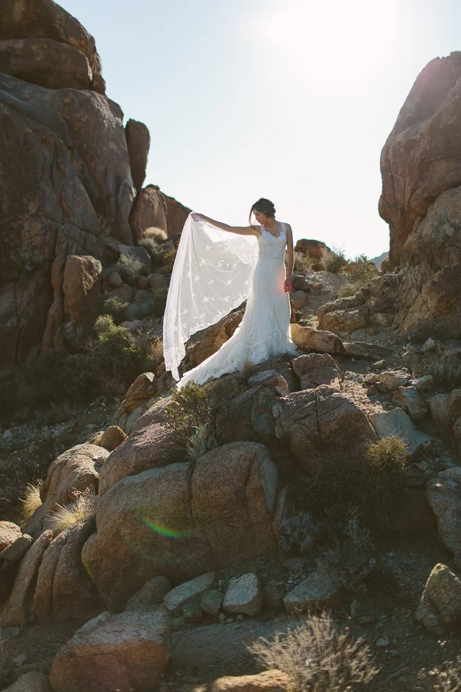 Joshua Tree Bridal Portrait