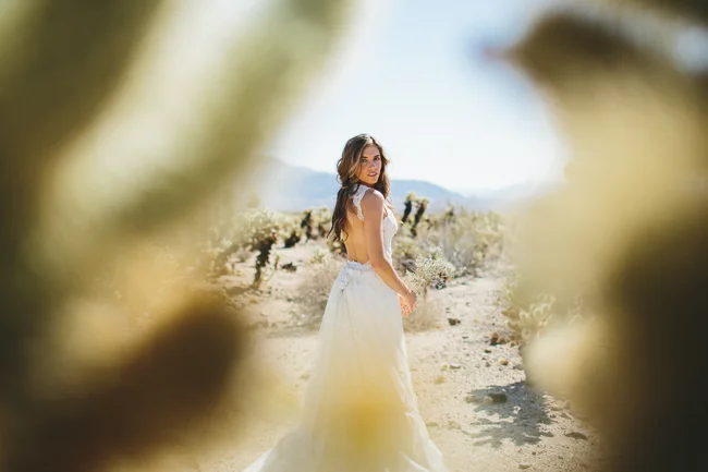 Joshua Tree Bridal Portraits