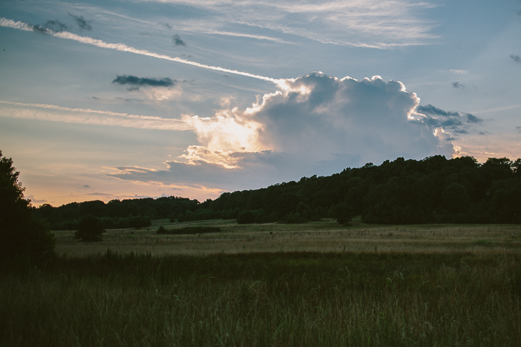 Beautiful Fields