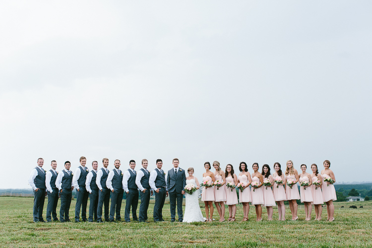 The Wedding Party