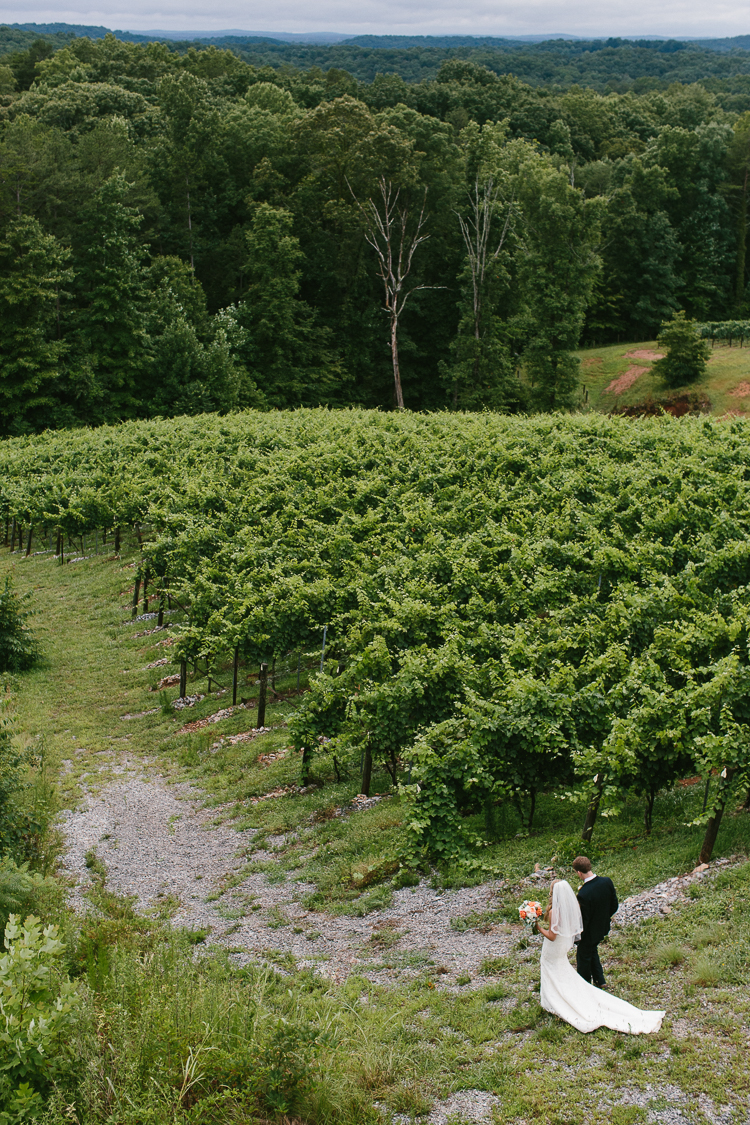 The Bride and Groom Walking Through the Beautiful Vineyards of Wolf Mountain