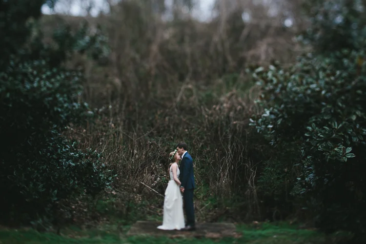 groom kisses his bride's forehead