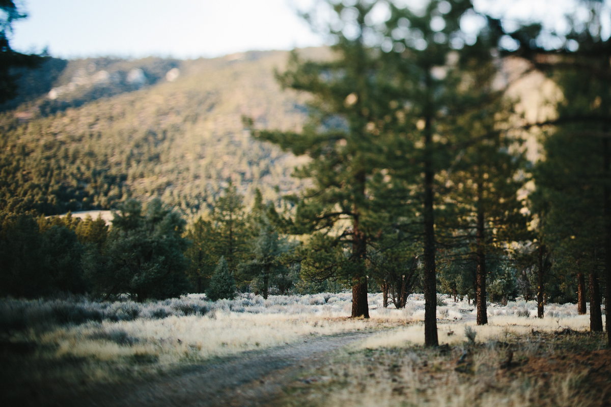 Los Padres National Forest California