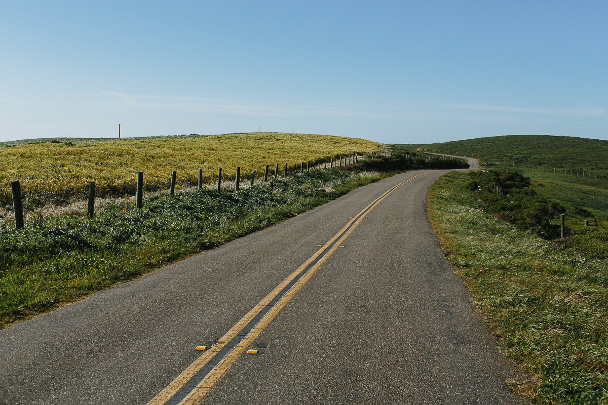 Point Reyes Adventure Wedding Photographer-134.jpg