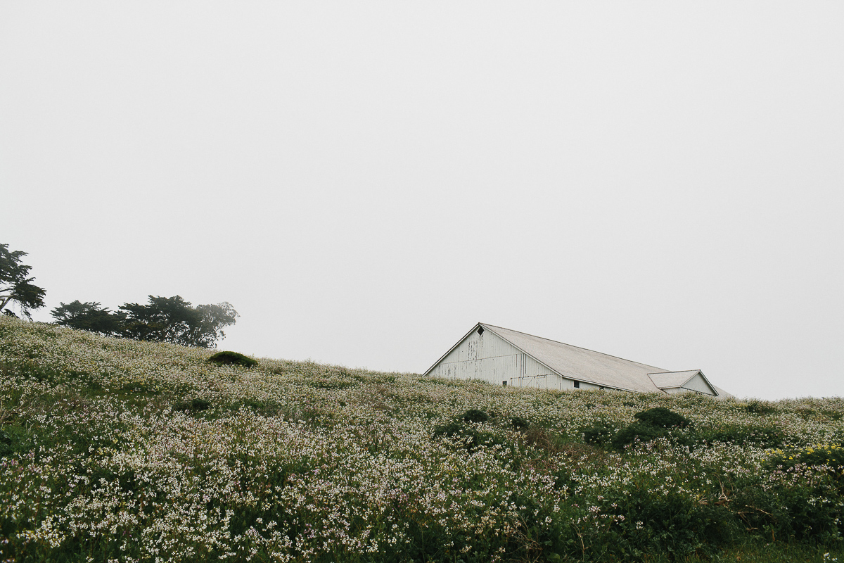 Point Reyes Adventure Engagement Photographer-53.jpg