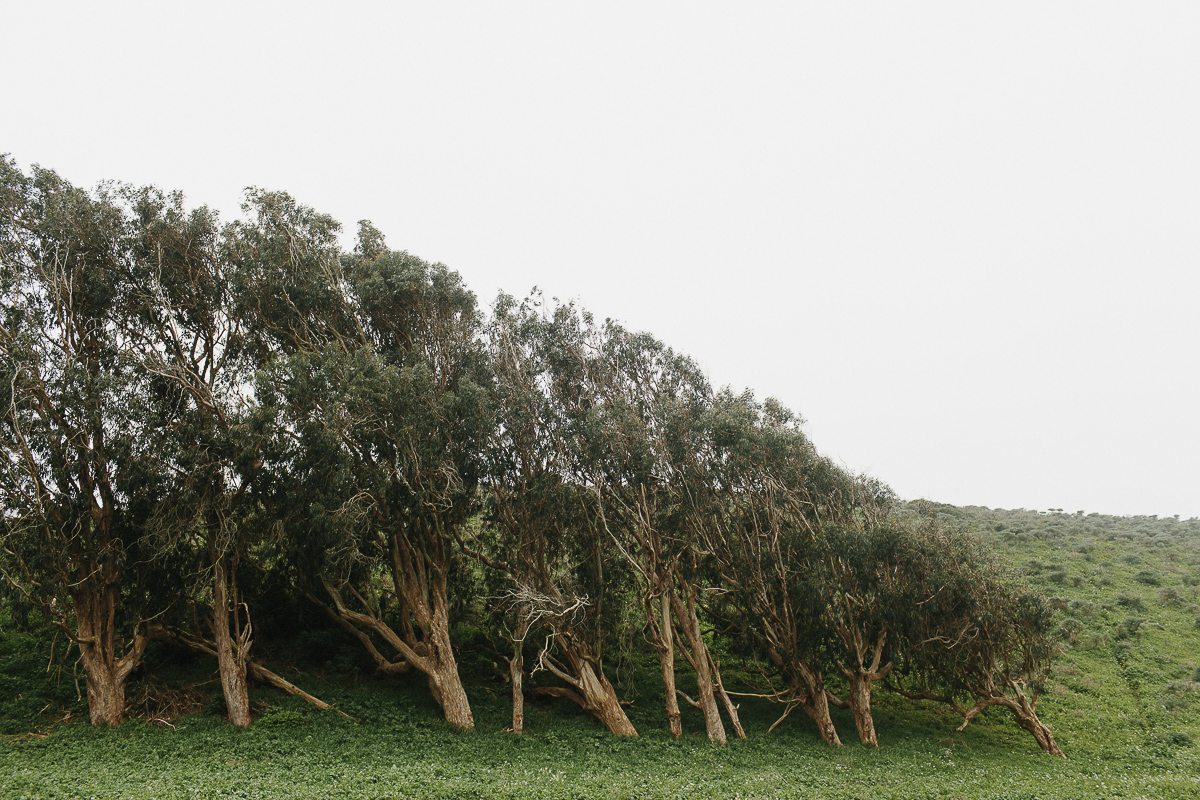 Point Reyes Adventure Engagement Photographer-55.jpg