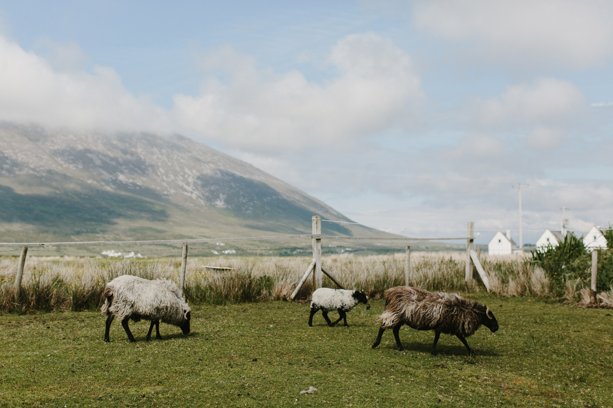 Achill Island Ireland Wedding Photographer-166.jpg