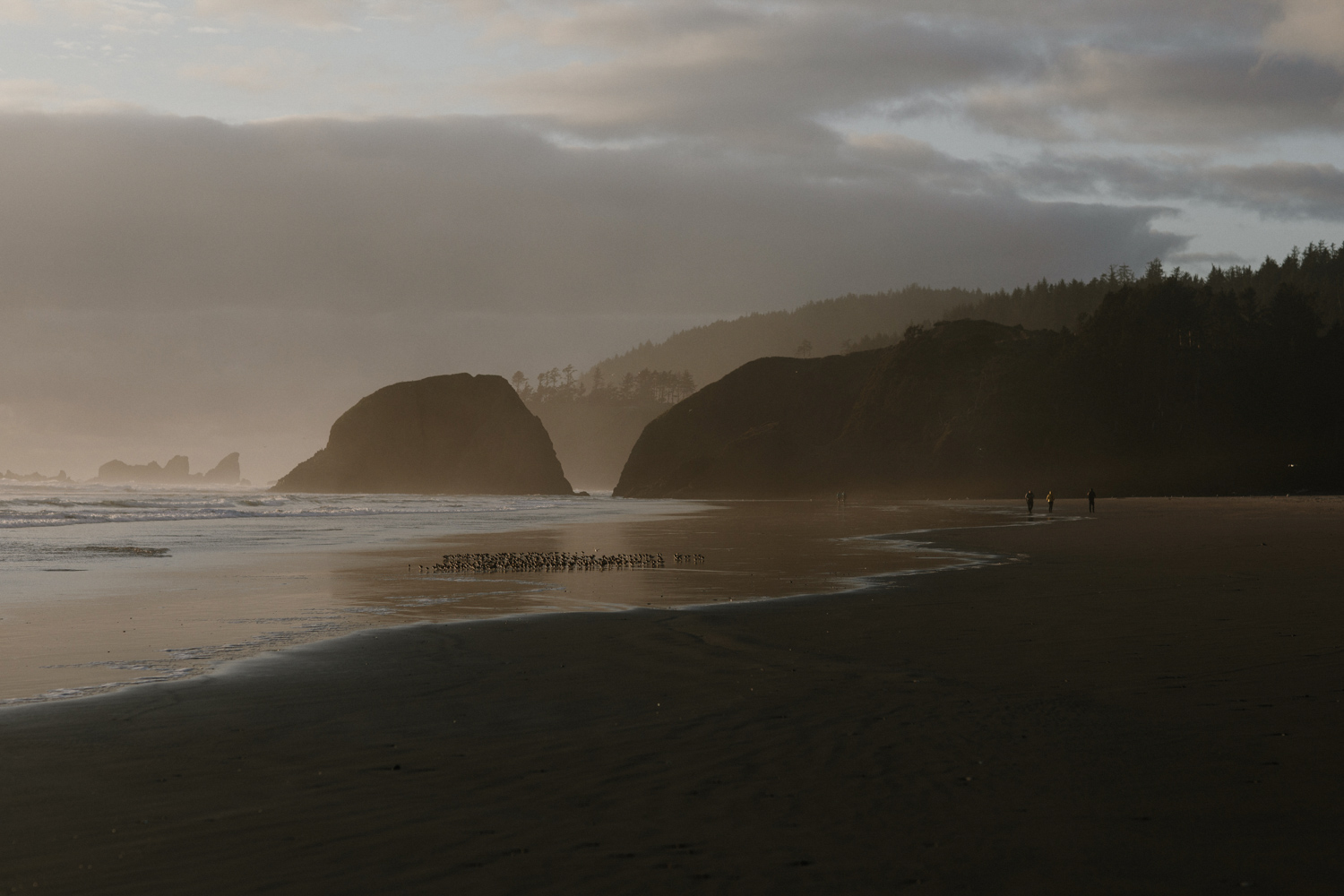 cannon-beach-engagement-oregon-71.jpg