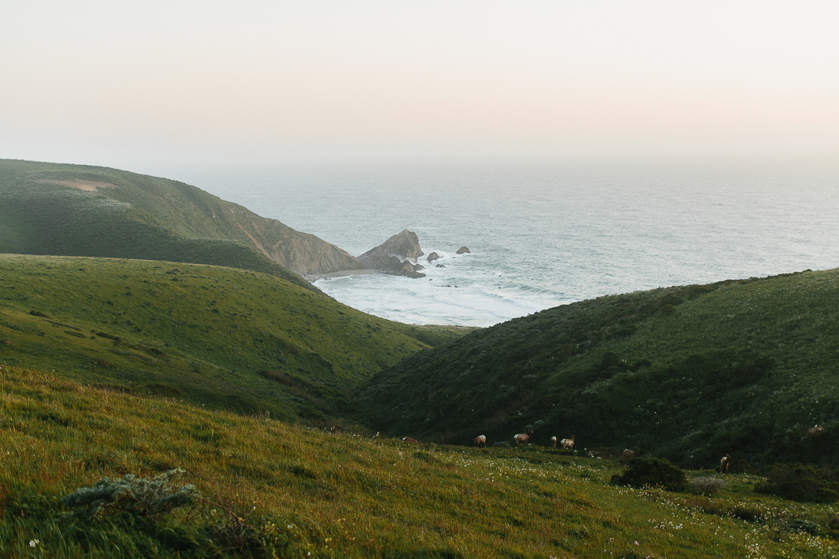 Point Reyes Adventure Wedding Photographer-341.jpg