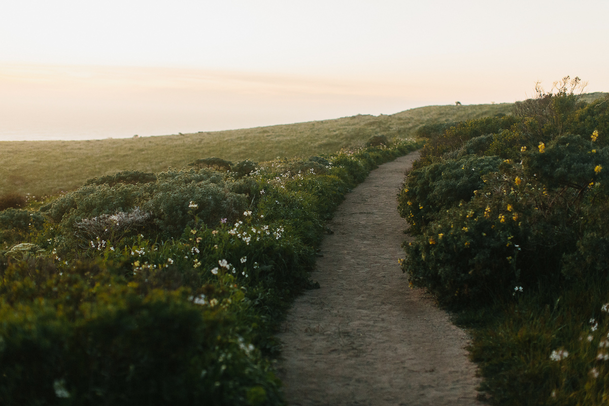 Point Reyes Adventure Wedding Photographer-373.jpg