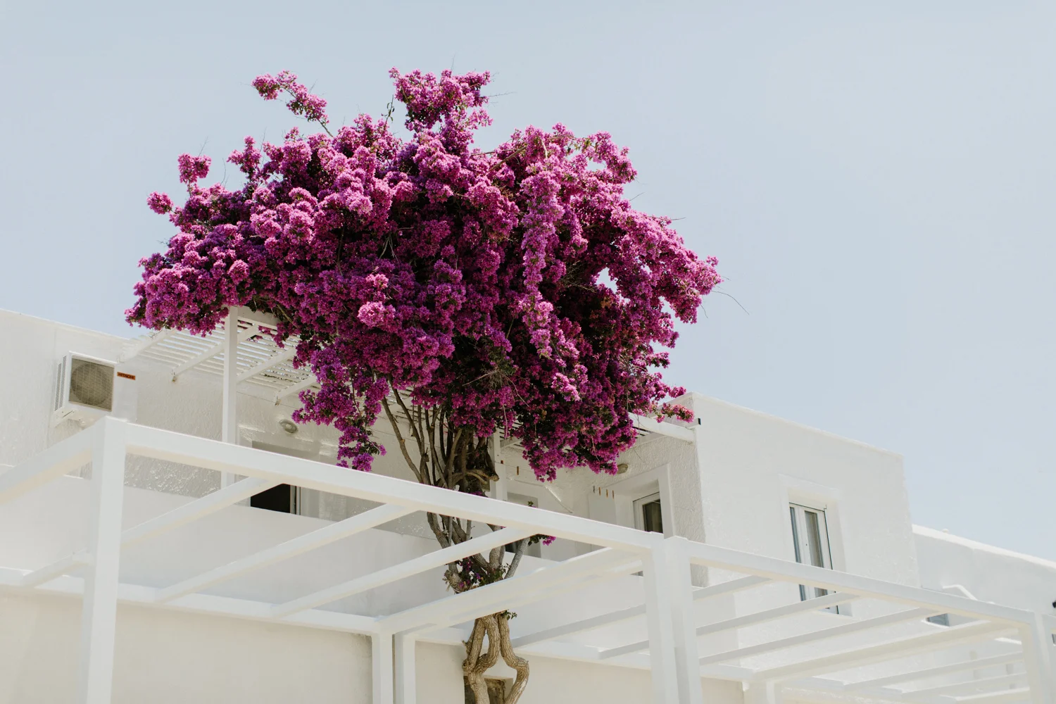 Naxos-Island-Wedding-Photographer-84.jpg