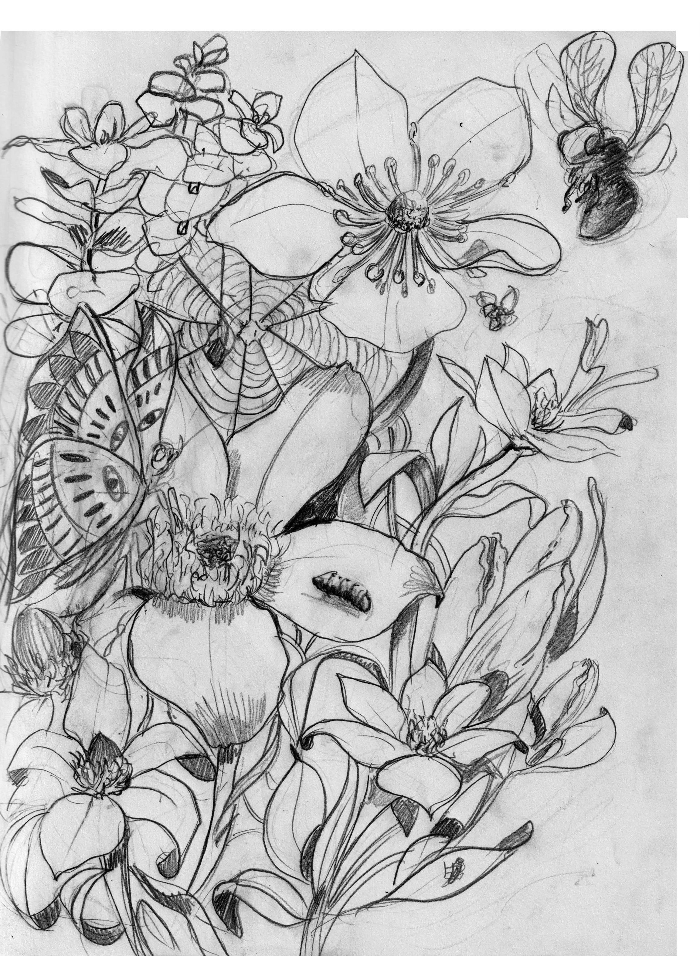 bee flowersietch.jpg