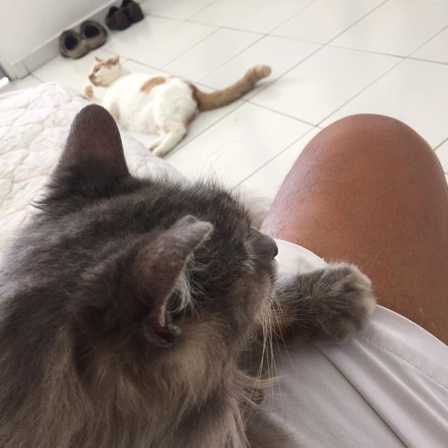 Solo's turn chilling out…
