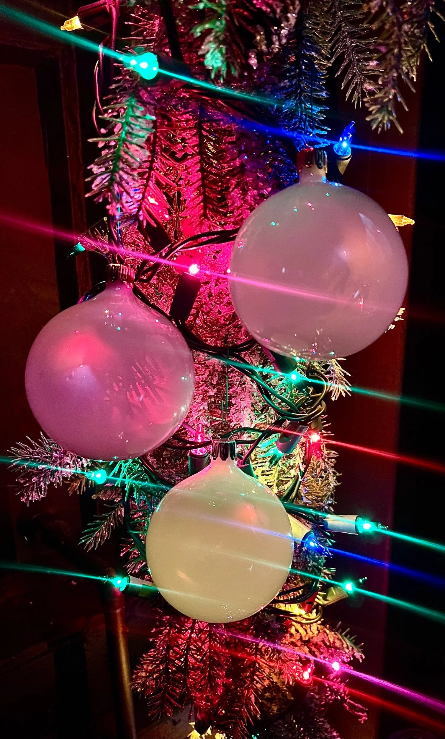 62AFA933-1B61-4713-93B9-D67935381E3C