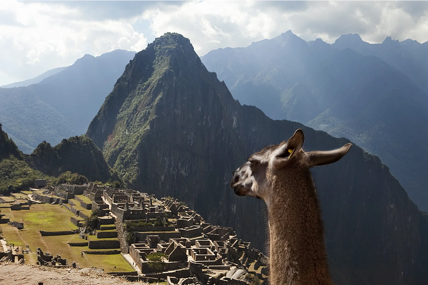 Machu Picchu, Peru