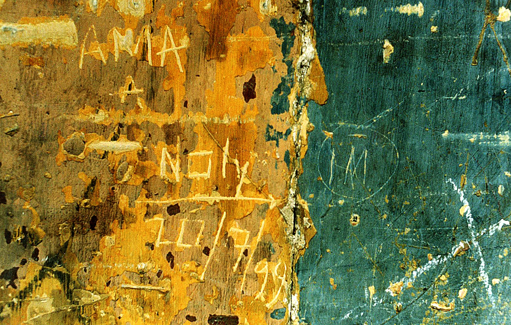 Cuba Close up149.jpg