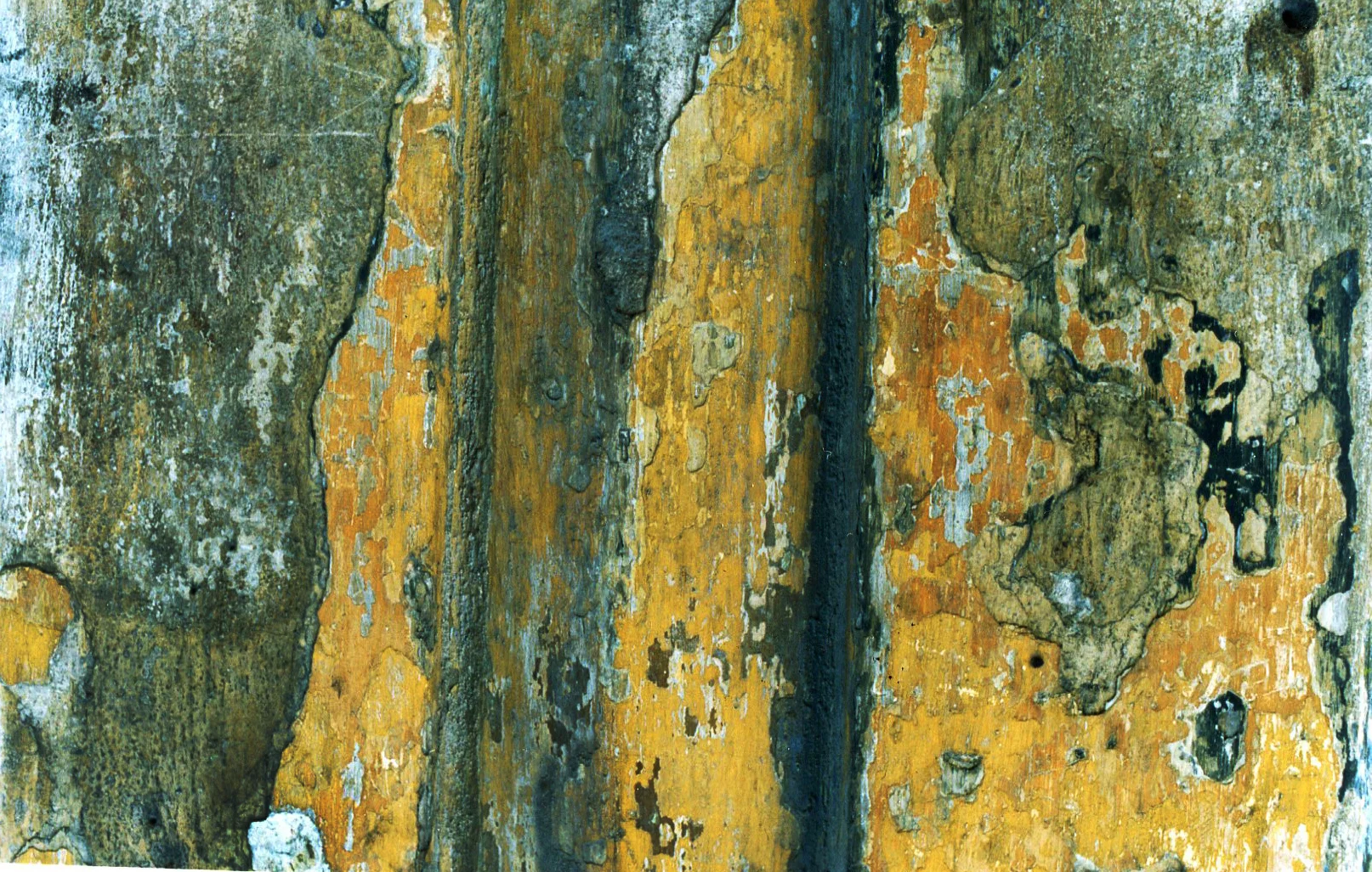 Cuba Close up156.jpg