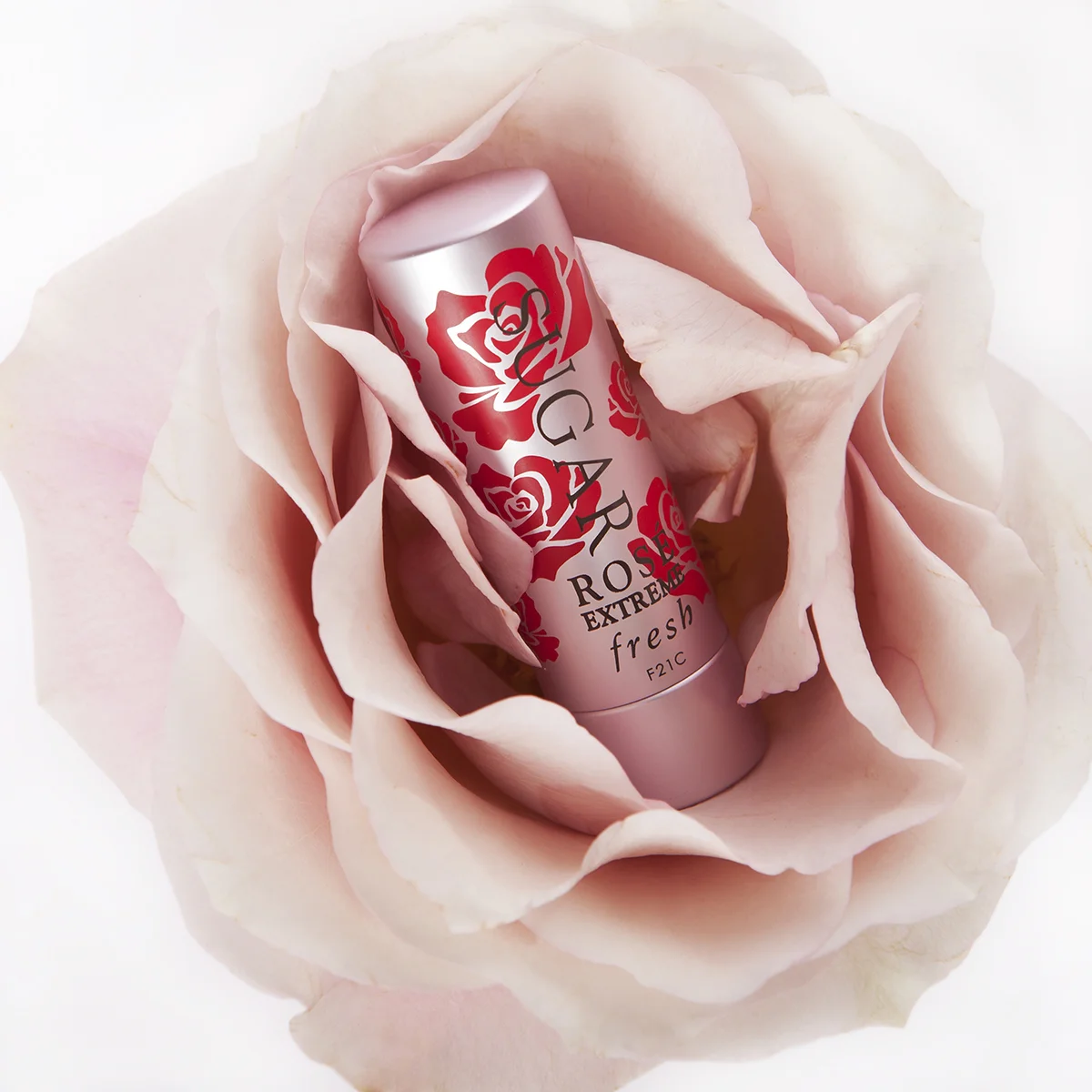 Fresh Rose Extreme in Rose.jpg