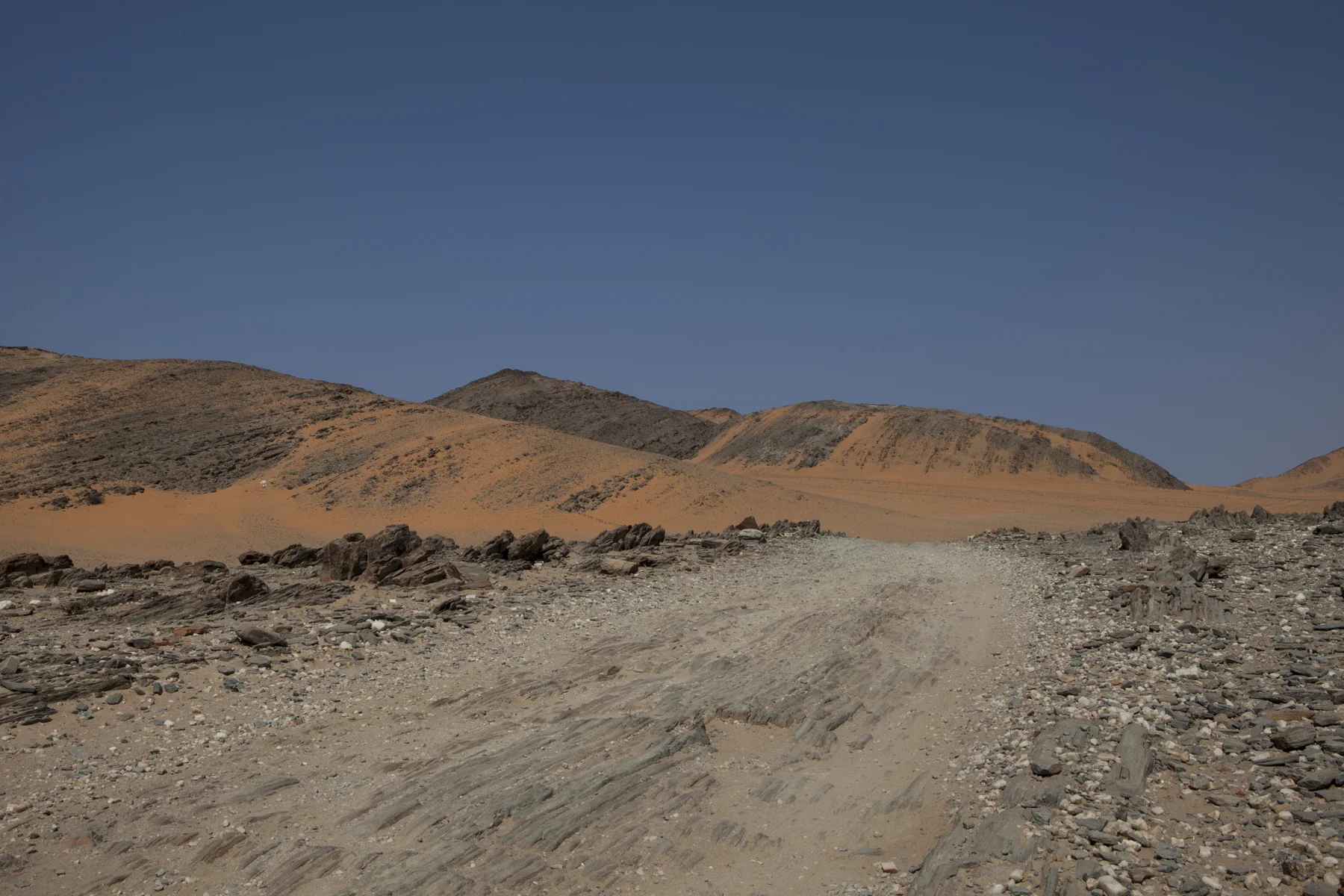 _MG_5272.jpg
