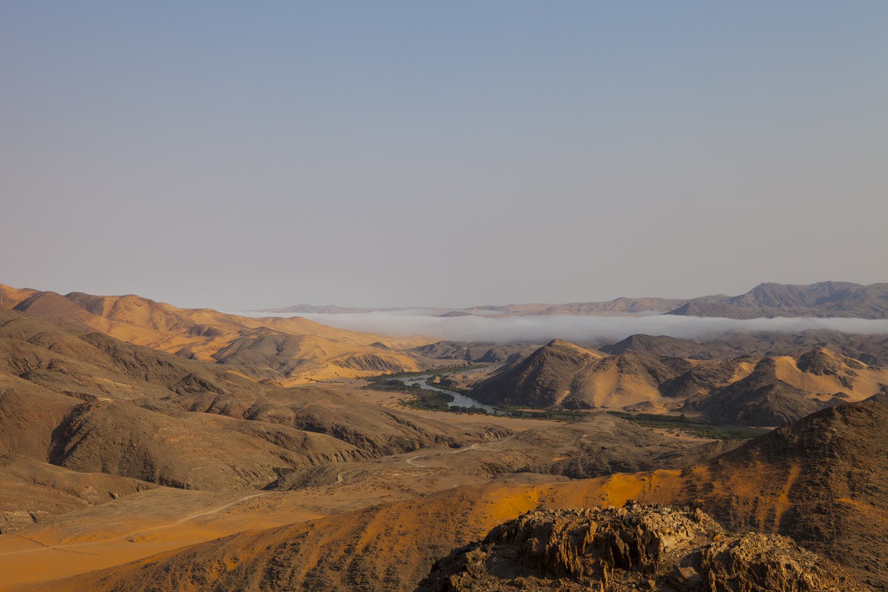 _MG_5293.jpg