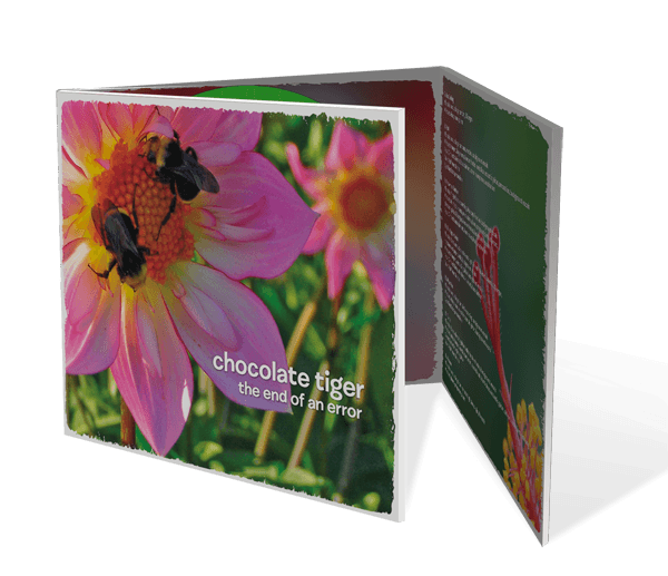 Chocolate Tiger "End of an Error"