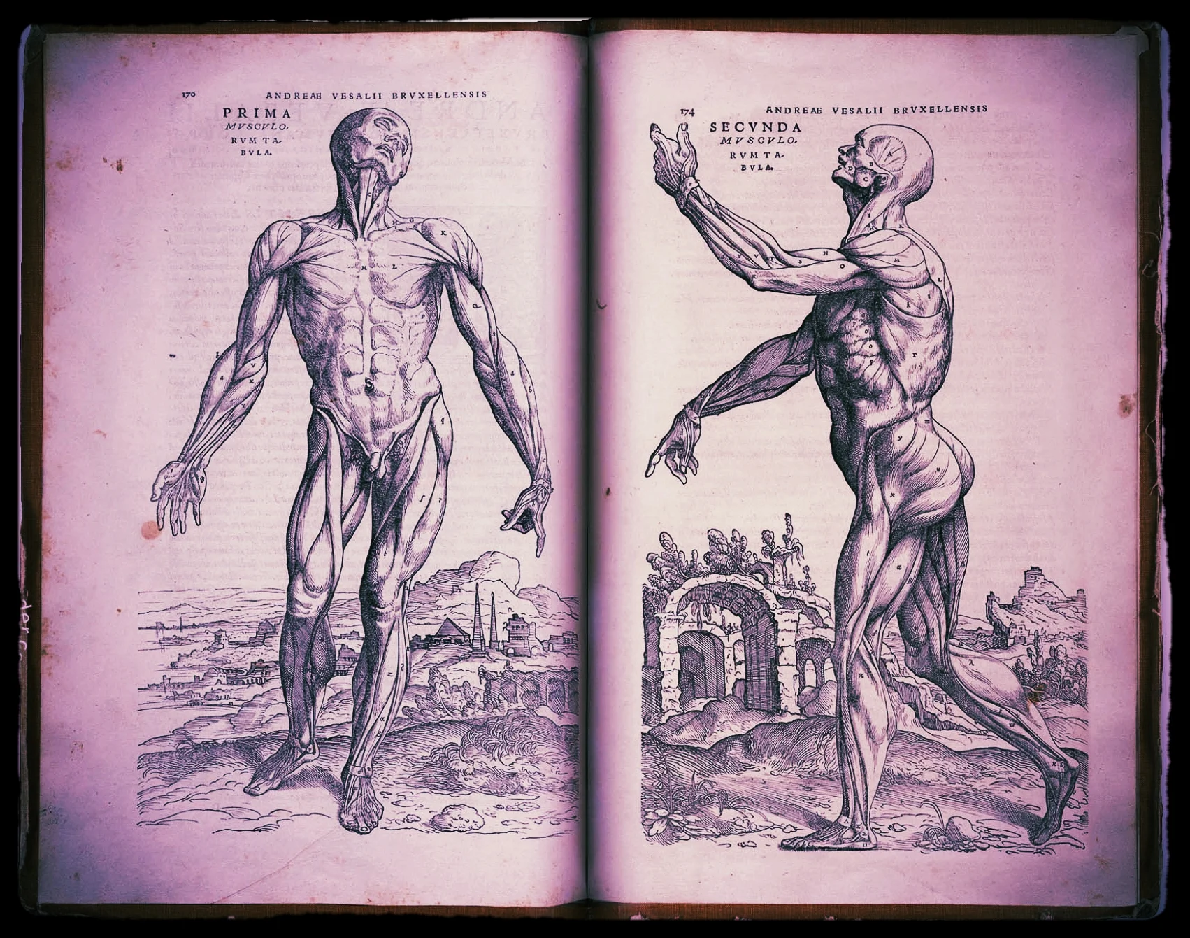 Andreas-Vesalius-Humani-Corporis-Fabrica-facsimile-edition-05.jpg