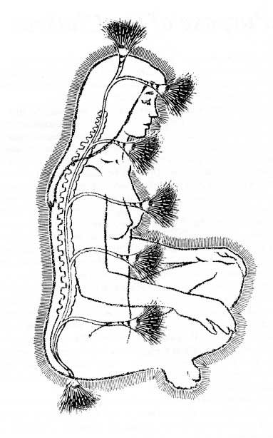 Contemporary (new age) depiction of chakras being rooted to the central channel (in this depiction it has been medicalized and is seen as synonymous with the cerebral spinal fluid).